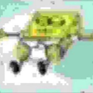 Meet your Posher, Jordan